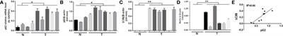 p62 Overexpression Promotes Bone Metastasis of Lung Adenocarcinoma out of LC3-Dependent Autophagy